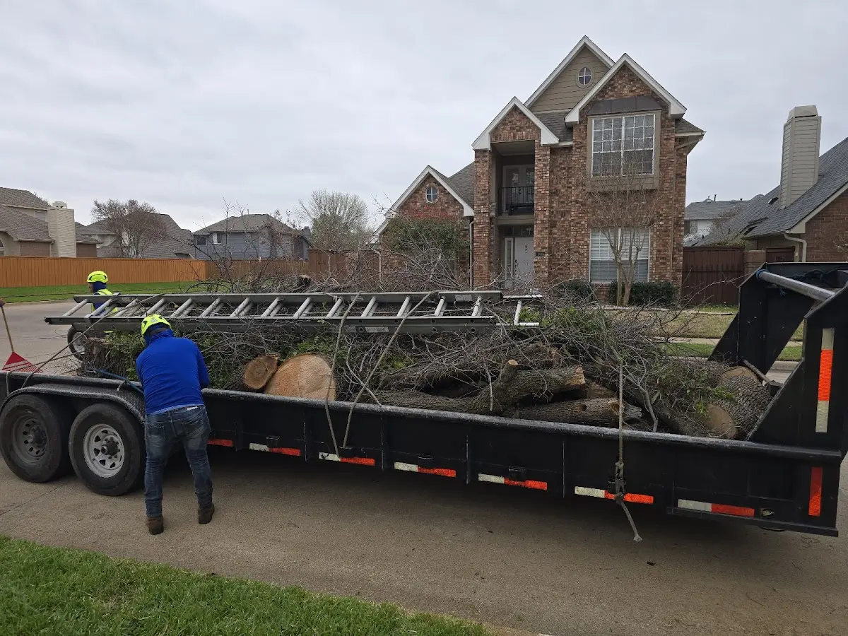 Expert Lot Clearing with proper safety equipment in Nesmith